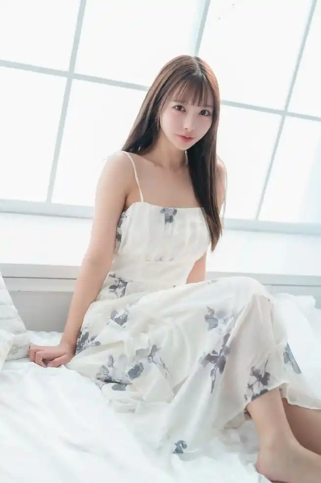 镰仓海岸线封面
